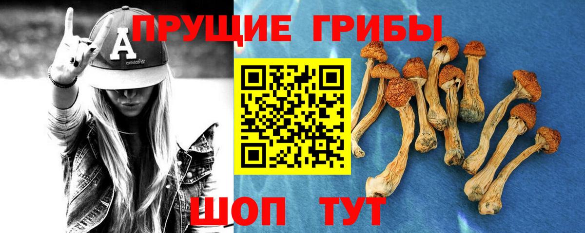 Галлюциногенные грибы Psilocybine cubensis  Галлюциногенные грибы мухоморы  где можно купить наркотик  Ахтубинск  Вход с VPN 